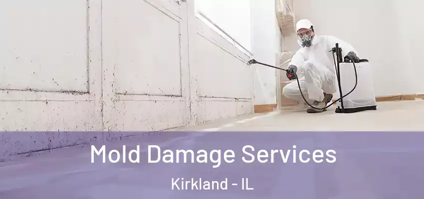  Mold Damage Services Kirkland - IL