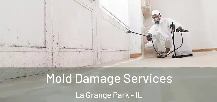  Mold Damage Services La Grange Park - IL