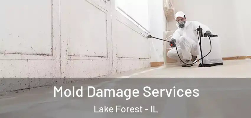 Mold Damage Services Lake Forest - IL
