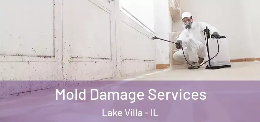 Mold Damage Services Lake Villa - IL