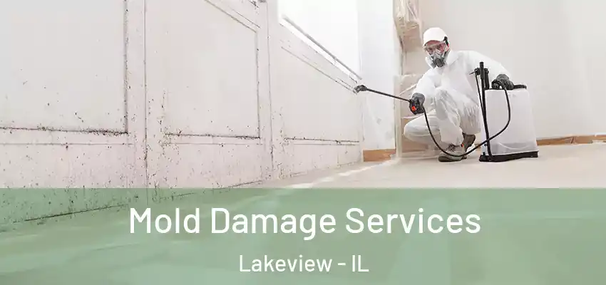  Mold Damage Services Lakeview - IL