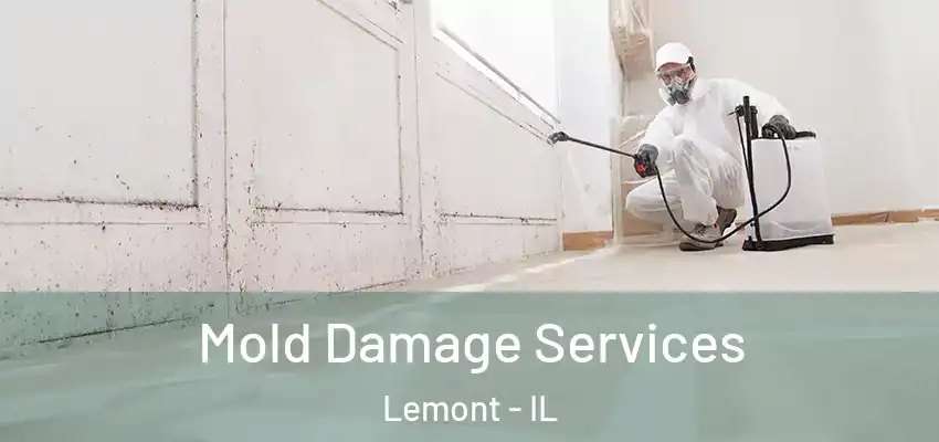 Mold Damage Services Lemont - IL