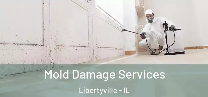 Mold Damage Services Libertyville - IL