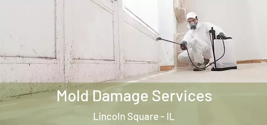 Mold Damage Services Lincoln Square - IL