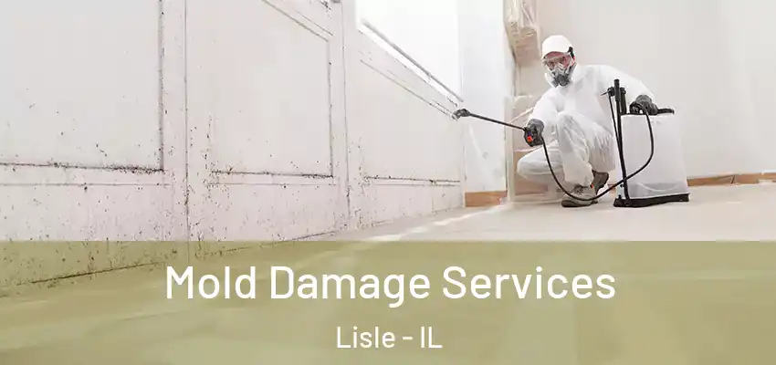 Mold Damage Services Lisle - IL