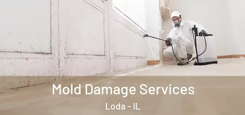  Mold Damage Services Loda - IL