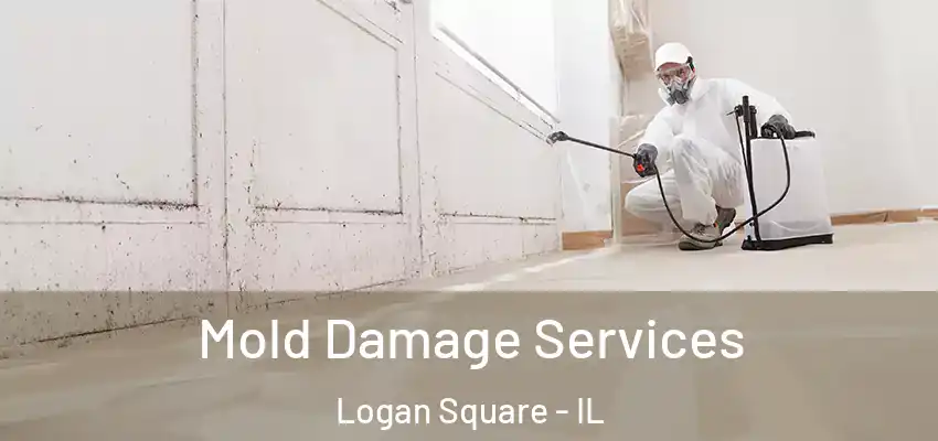  Mold Damage Services Logan Square - IL