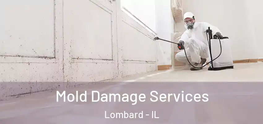 Mold Damage Services Lombard - IL
