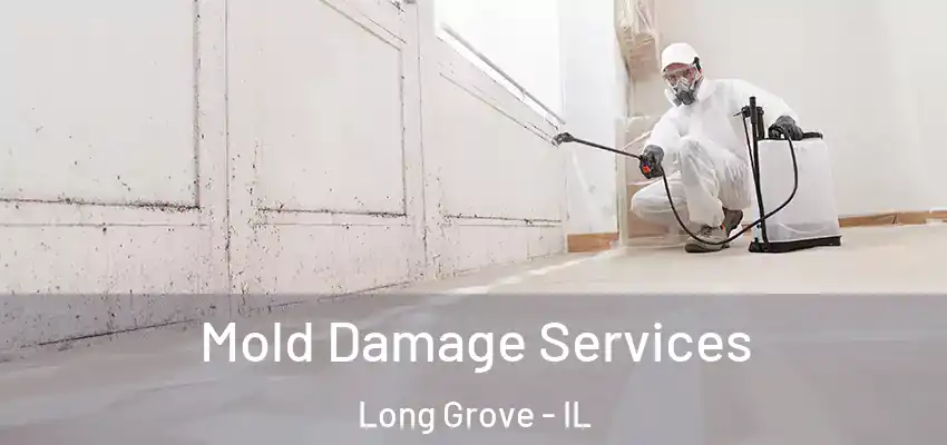  Mold Damage Services Long Grove - IL