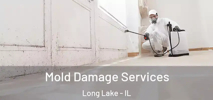 Mold Damage Services Long Lake - IL