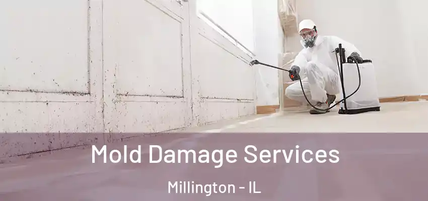  Mold Damage Services Millington - IL