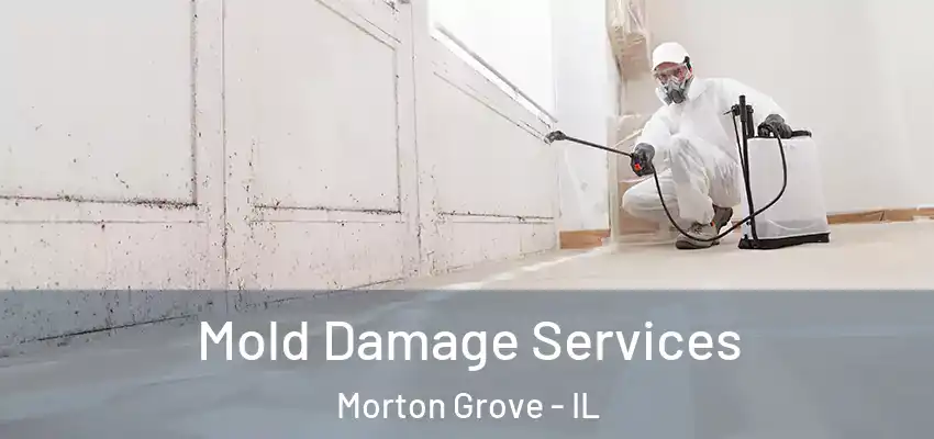  Mold Damage Services Morton Grove - IL