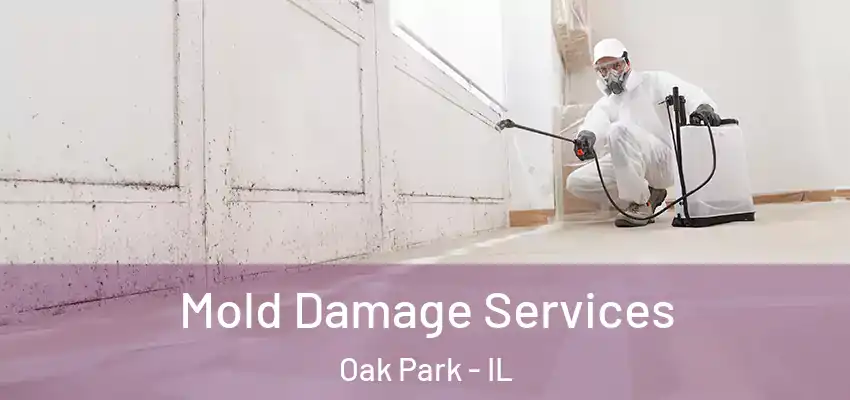 Mold Damage Services Oak Park - IL