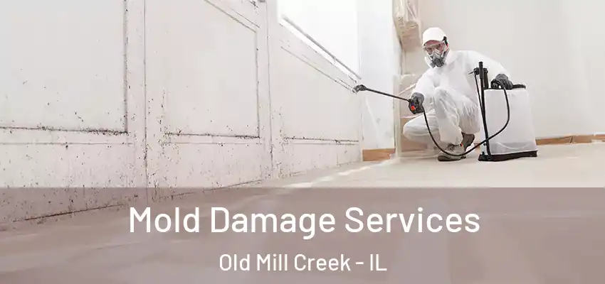 Mold Damage Services Old Mill Creek - IL