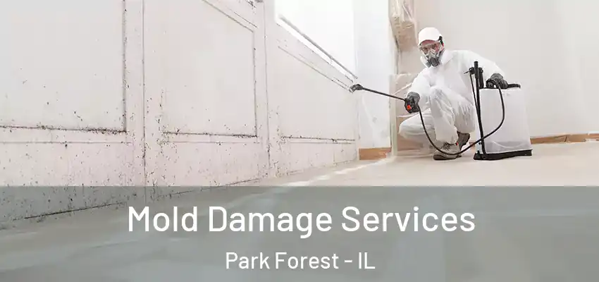  Mold Damage Services Park Forest - IL