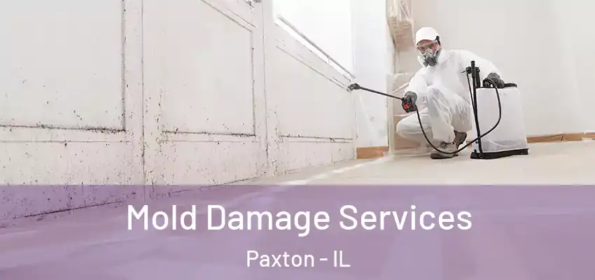  Mold Damage Services Paxton - IL