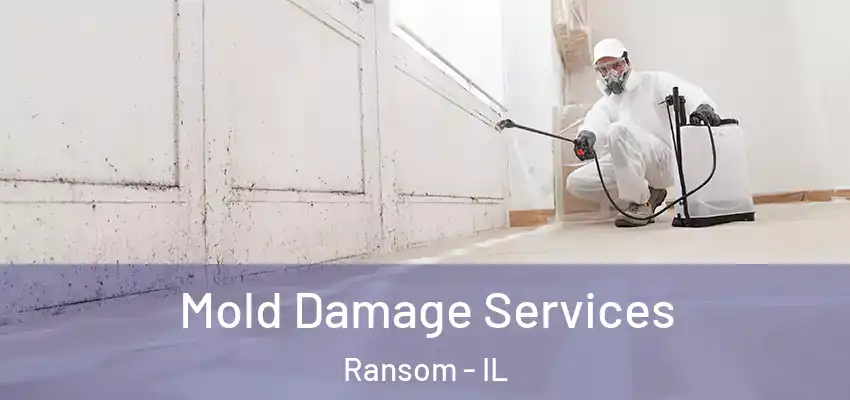  Mold Damage Services Ransom - IL