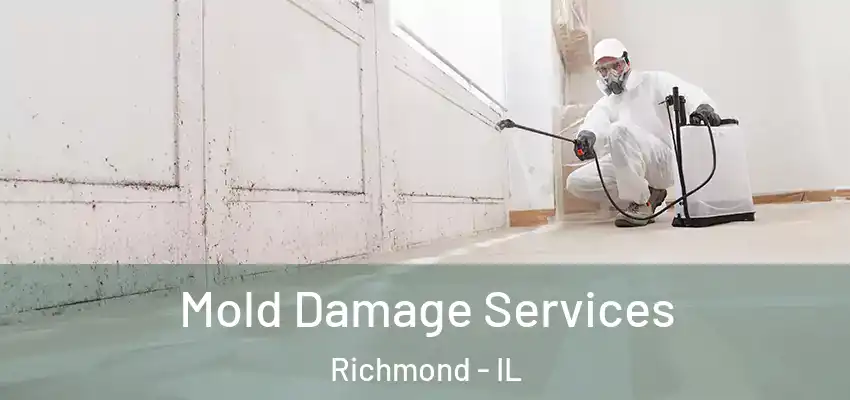  Mold Damage Services Richmond - IL