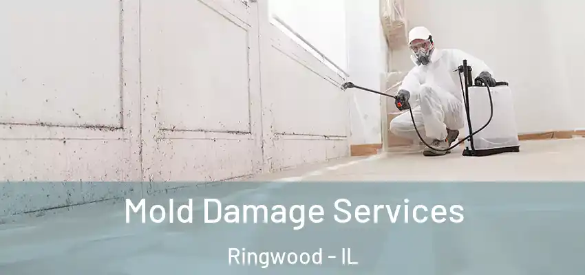  Mold Damage Services Ringwood - IL