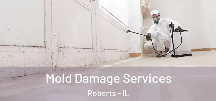  Mold Damage Services Roberts - IL