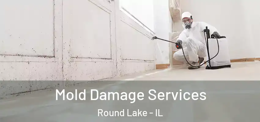 Mold Damage Services Round Lake - IL