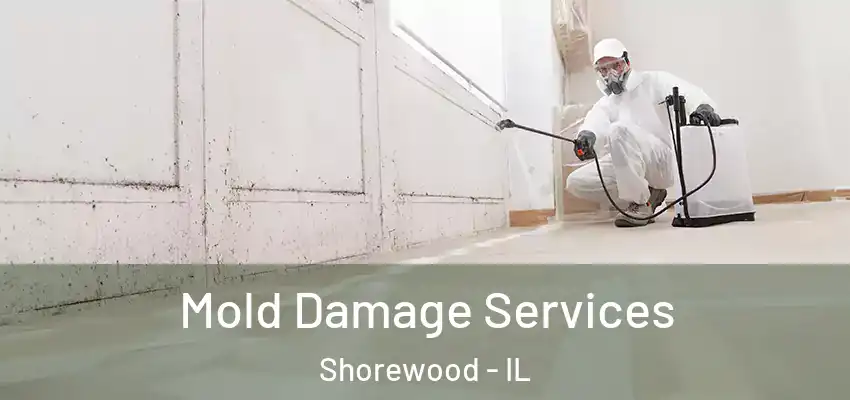 Mold Damage Services Shorewood - IL