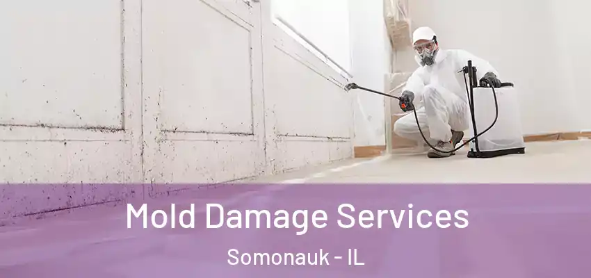  Mold Damage Services Somonauk - IL