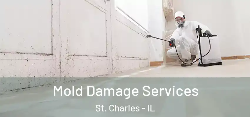  Mold Damage Services St. Charles - IL