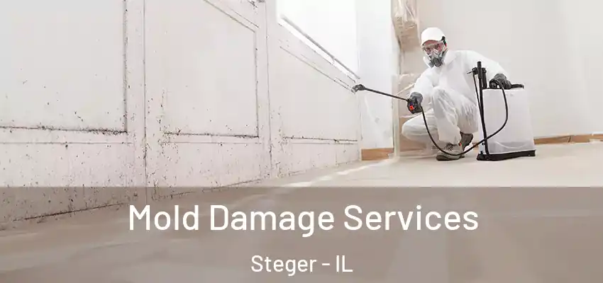  Mold Damage Services Steger - IL
