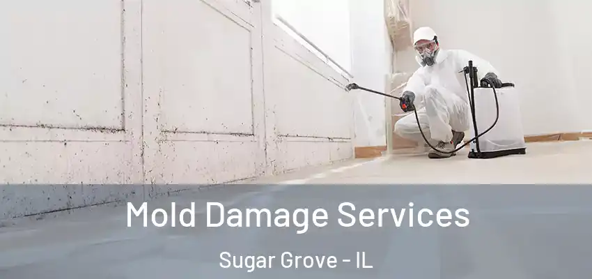 Mold Damage Services Sugar Grove - IL