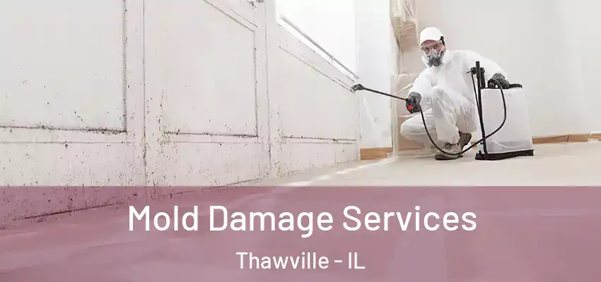 Mold Damage Services Thawville - IL