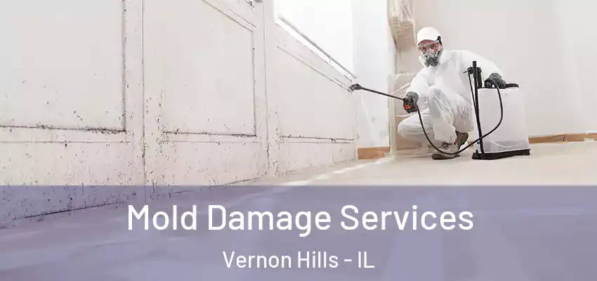 Mold Damage Services Vernon Hills - IL