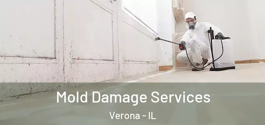 Mold Damage Services Verona - IL