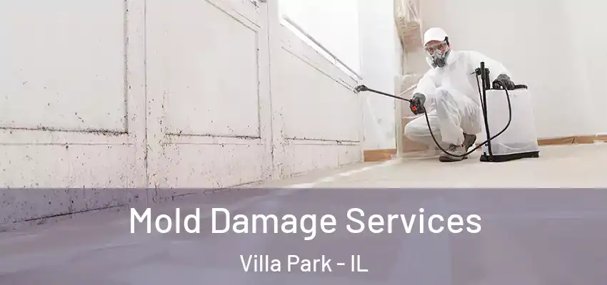 Mold Damage Services Villa Park - IL