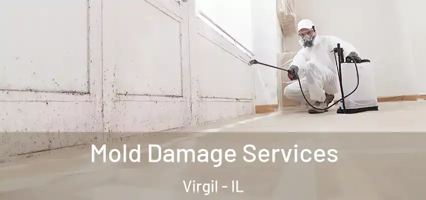  Mold Damage Services Virgil - IL