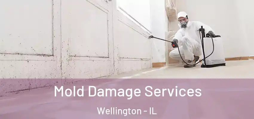  Mold Damage Services Wellington - IL