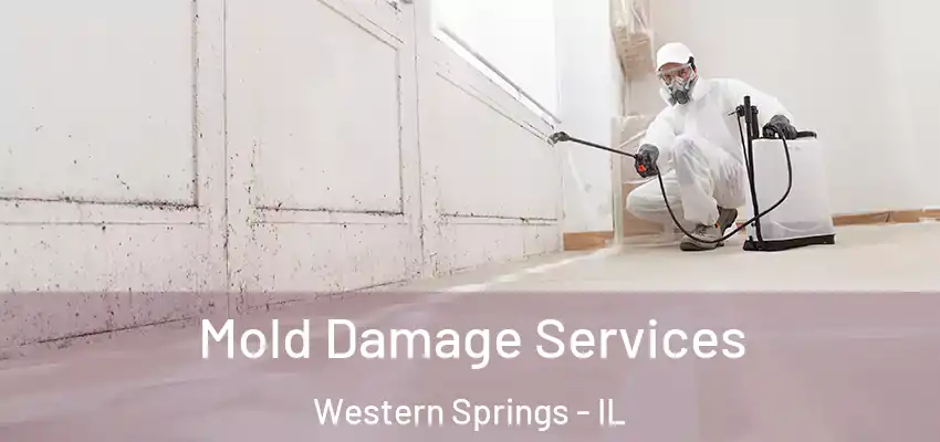  Mold Damage Services Western Springs - IL