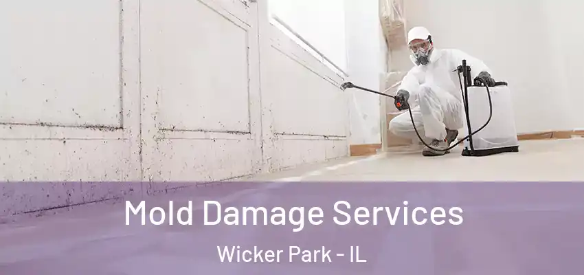 Mold Damage Services Wicker Park - IL