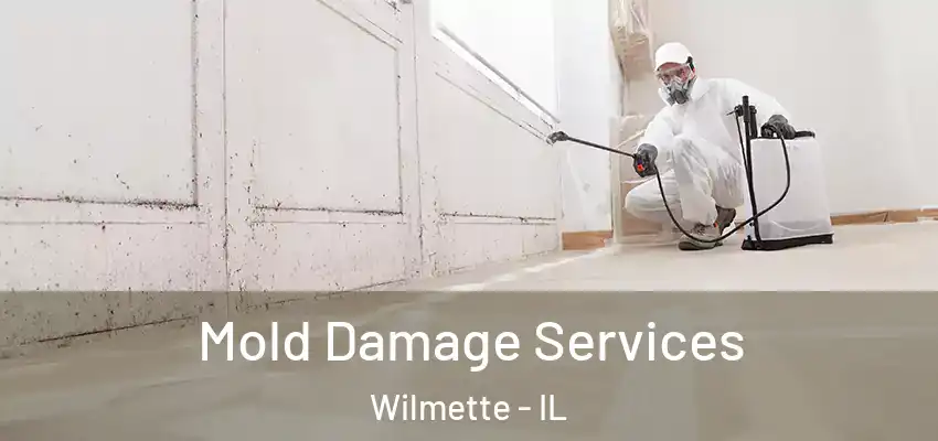  Mold Damage Services Wilmette - IL