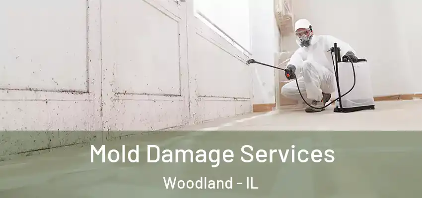 Mold Damage Services Woodland - IL