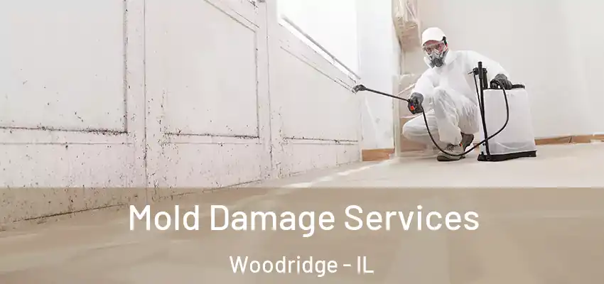 Mold Damage Services Woodridge - IL