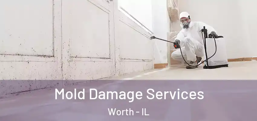  Mold Damage Services Worth - IL