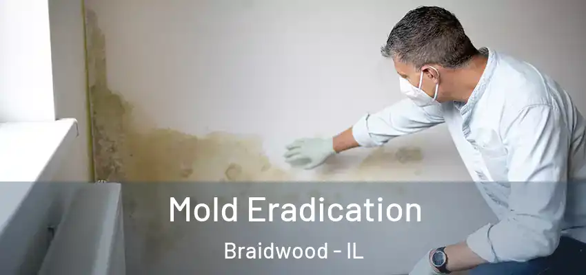  Mold Eradication Braidwood - IL