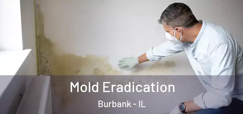  Mold Eradication Burbank - IL