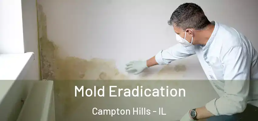  Mold Eradication Campton Hills - IL