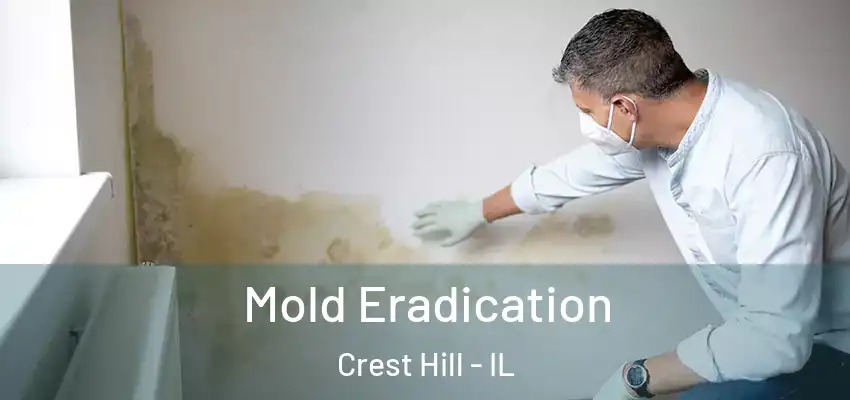  Mold Eradication Crest Hill - IL