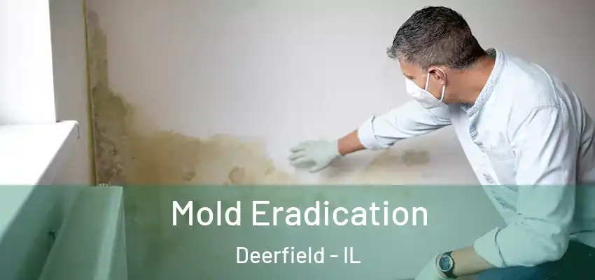 Mold Eradication Deerfield - IL