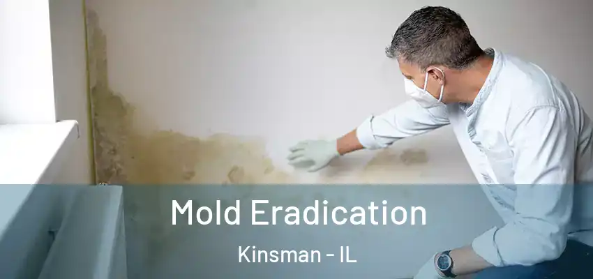  Mold Eradication Kinsman - IL