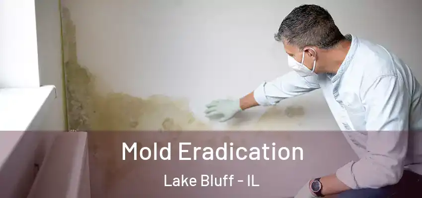  Mold Eradication Lake Bluff - IL