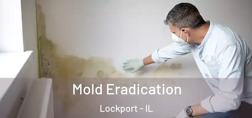  Mold Eradication Lockport - IL
